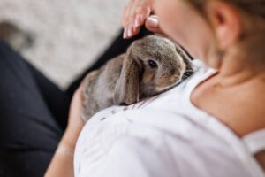 Which signs indicate that a rescued rabbit is experiencing stress or anxiety?